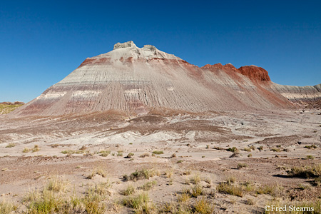 Petrified Forest National Park The Tepees